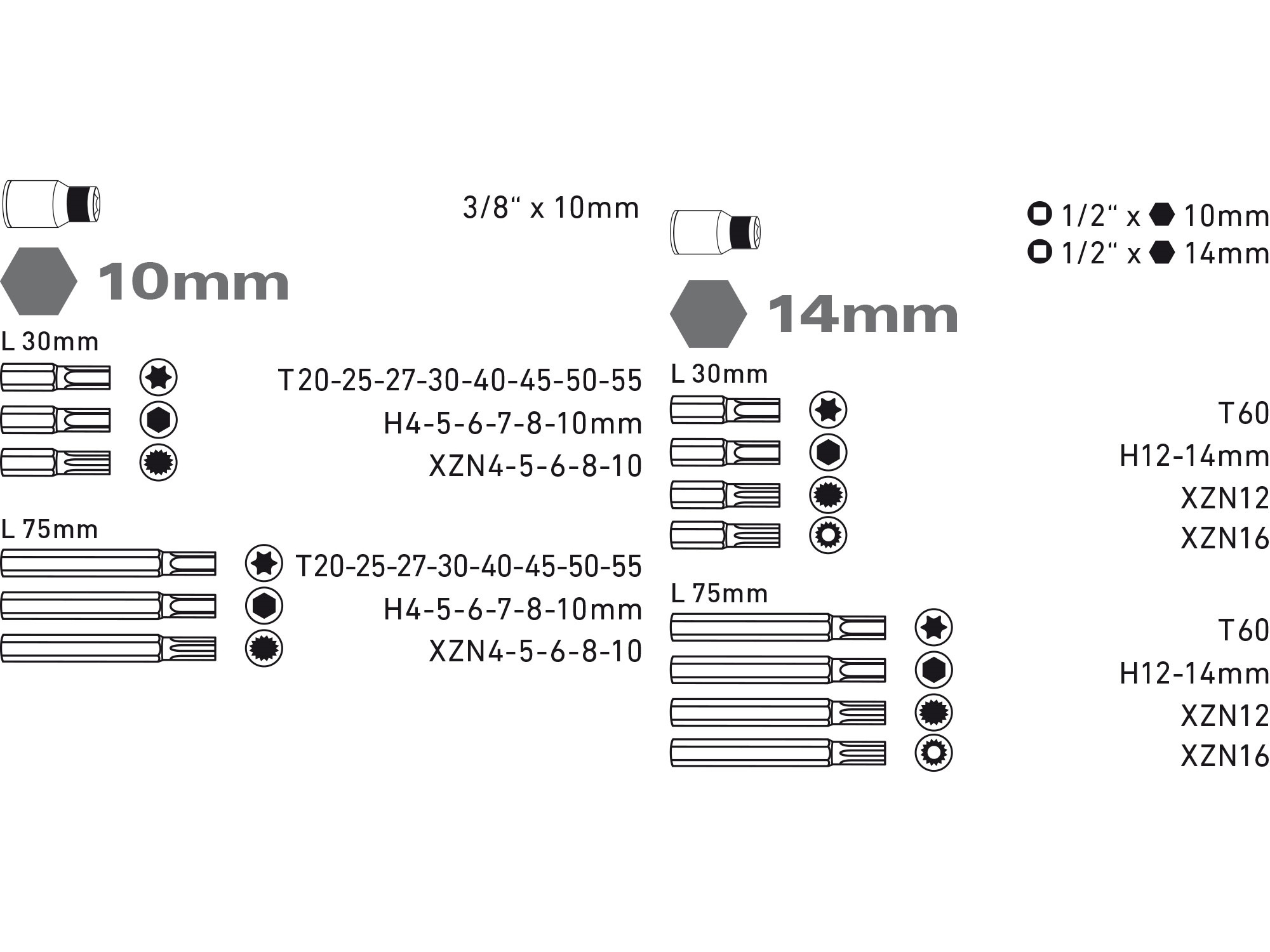 hroty IMBUS-TORX-XZN, sada 51ks, pro ráčny 3/8