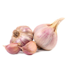 Česnek sadb. - Garpek paličák fialový (50-60 mm) 4 palice  /cena bez slev/