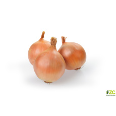 Sazečka - Augusta ozimá 250 g (7-14 mm) /cena bez slev/