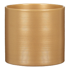 Obal 828 Gold pearl lesk 19