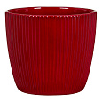 Obal 842 Dark red lesk 16