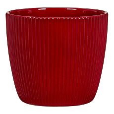 Obal 842 Dark red lesk 16