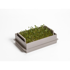 Microgreens Economy - taupe