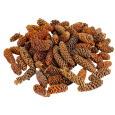 Dekorace - Birch pine (šišky) 250 g