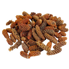 Dekorace - Birch pine (šišky) 250 g
