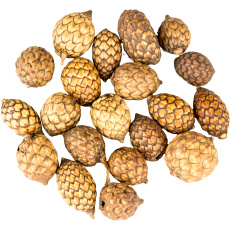 Dekorace - Cane fruit 250 g