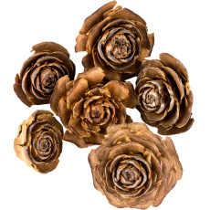 Dekorace - Cedar rose 250 g