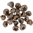 Dekorace - Eucalyptus Pod - 250 g