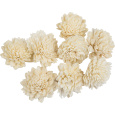 Dekorace - Sola Zinnia 4 cm - 50 ks