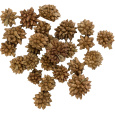 Dekorace - Star Flower - 250 g