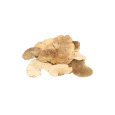Dekorace - Sponge mushroom natural 10-15 cm 5 g