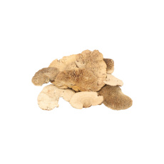 Dekorace - Sponge mushroom natural 10-15 cm 5 g