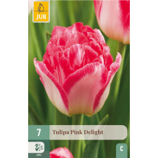 Karta - Tulipán - Pink Delight (7 cibulí) "C+"