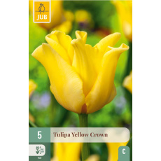 Karta - Tulipán - Yellow Crown (5 cibulí) "C"