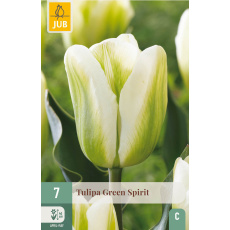 Karta - Tulipán - Green Spirit (7 cibulí) "C+"