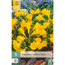 Karta - Narcis - Golden Bells (5 cibulí) "A"