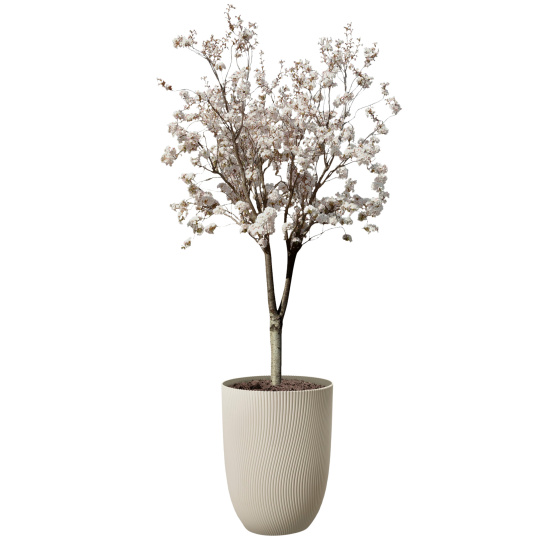 Obal Sereh High - mushroom beige 40 cm 