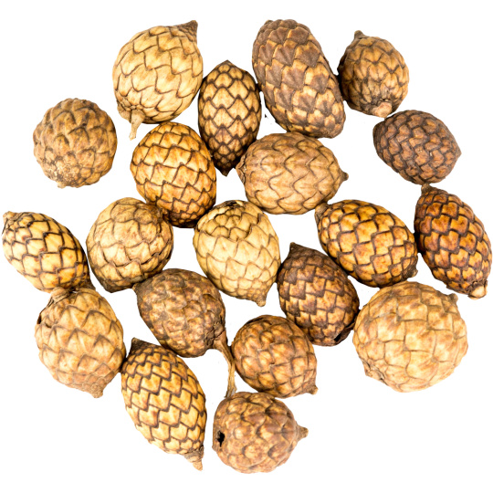Dekorace - Cane fruit 250 g