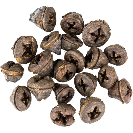 Dekorace - Eucalyptus Pod - 250 g