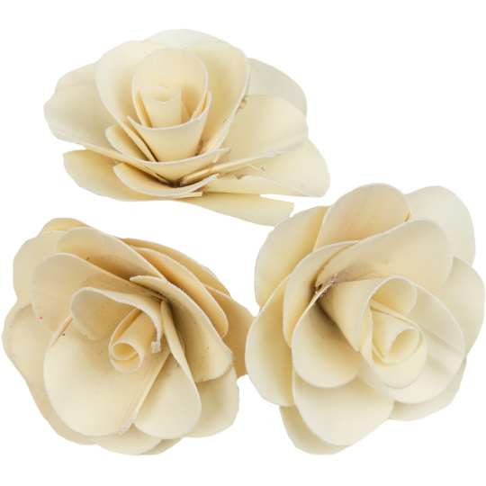 Dekorace - Palm Deco Rose 6 cm - 50 ks 