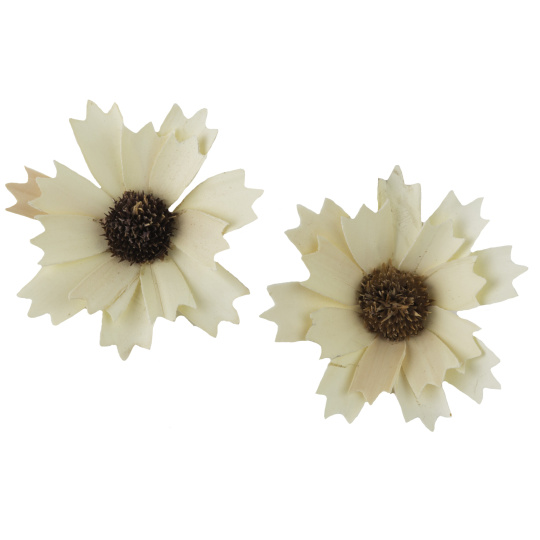 Dekorace - Palm Zig Zag 6 cm - 50 ks