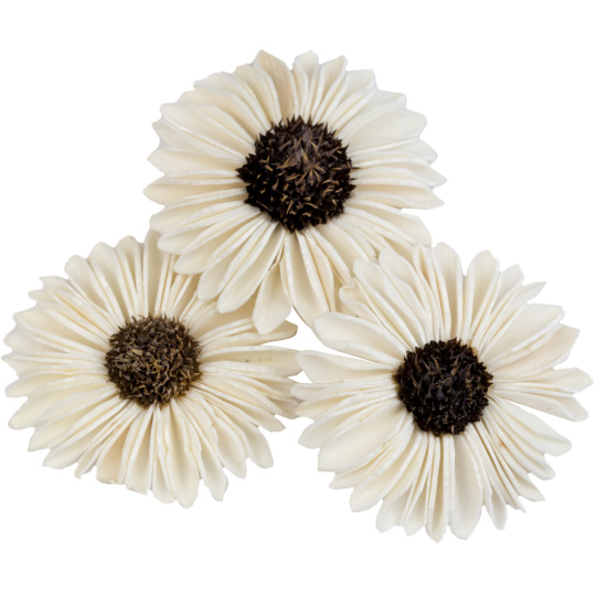 Dekorace - Sola Splite Sunflower 6 cm - 30 ks