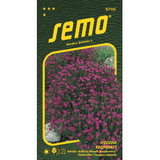 Hvozdík kropenatý - Maiden pink 0,1g (ZÁRUKA 2026)