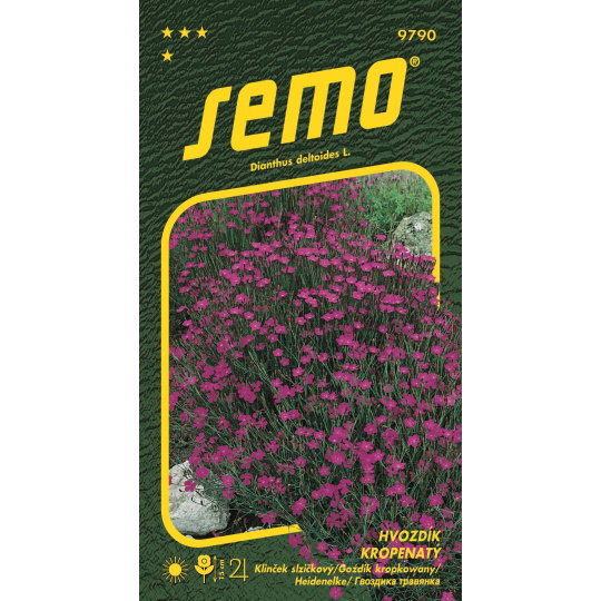 Hvozdík kropenatý - Maiden pink 0,1g (ZÁRUKA 2026)