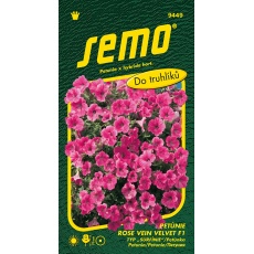 Petunie převislá - Rose Vein Velvet (R. V. Diamond) F1 (typ Surfinie) 10p Petunie převislá - Rose Vein Velvet (R. V. Diamond) F1 (typ Surfinie) 10p
