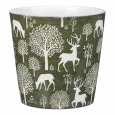 Obal 778 Woodland green lesk 16 /VÁNOCE 2023/