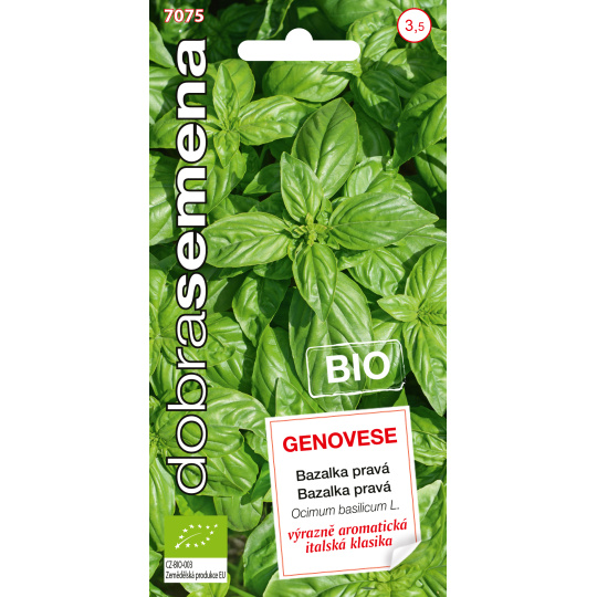 Dobrá semena BIO Bazalka pravá - Genovese 0,6g