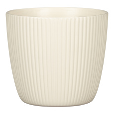 Obal 842 Creme mat 16