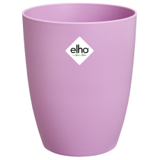 Obal Brussels Orchid High - vivid violet 12,5 cm Obal Brussels Orchid High - vivid violet 12,5 cm