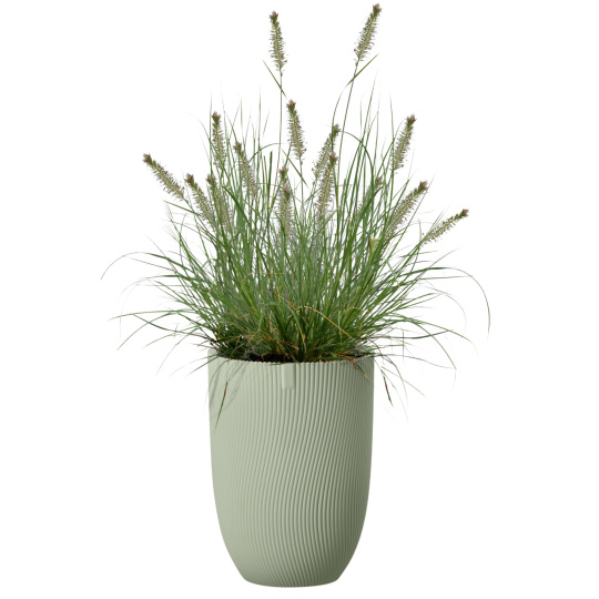 Obal Sereh High - nordic green 30 cm 