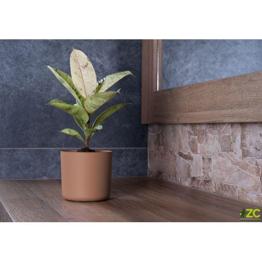 Obal Lora - mocha mousse 18 cm