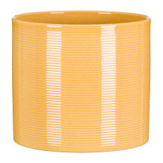 Obal 828 Zabaione lesk 19