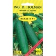 Okurka salát. Holman - Natalie F1 1,5 g / 1 g
