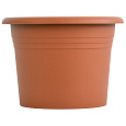 Obal Narcis - terakota 21 cm