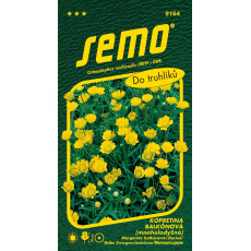 Kopretina balkonová - Zlatovláska 0,3g (ZÁRUKA 2026)