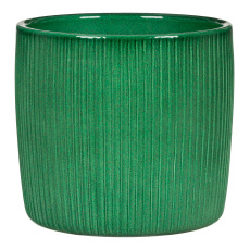 Obal 909 Cactus Green lesk 18 /VÁNOCE DOPRODEJ/ Obal 909 Cactus Green lesk 18 /VÁNOCE DOPRODEJ/