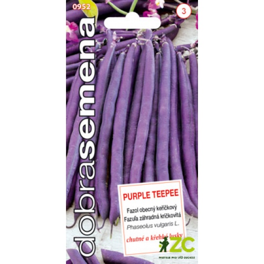 Dobrá semena Fazol keříčkový - Purple Teepee 10g