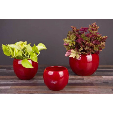 Obal 510 Wine red lesk 12 cm