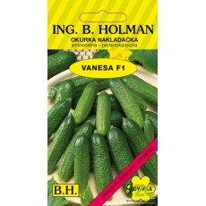Okurka nakl. Holman - Vanesa F1 hu 2,5g Okurka nakl. Holman - Vanesa F1 hu 2,5g