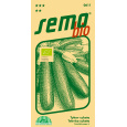 BIO Tykev cuketa - Startgreen F1 tm. zelená 10s (ZÁRUKA 2026)