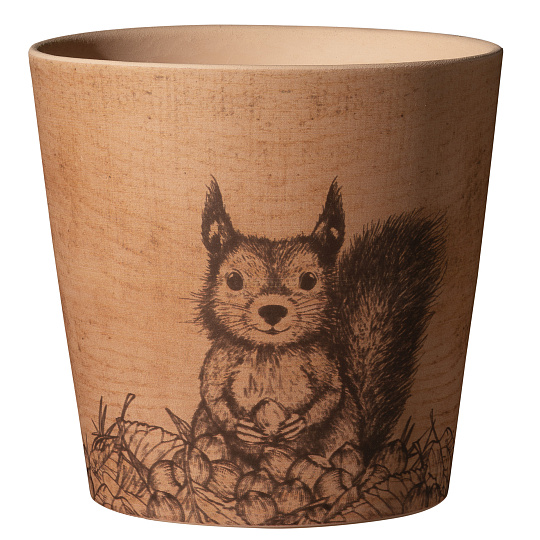 Obal 078 Dallas Forest Friends - veverka 14