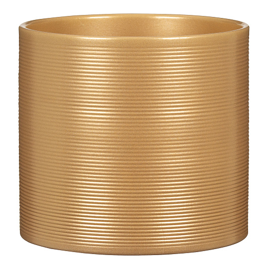 Obal 828 Gold pearl lesk 19