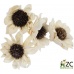 Dekorace - Sola Folded Star Daisy 6 cm - 4 ks