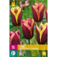 Karta XXL - Tulipán - My Favourite Topping (15 cibulí) "E+"