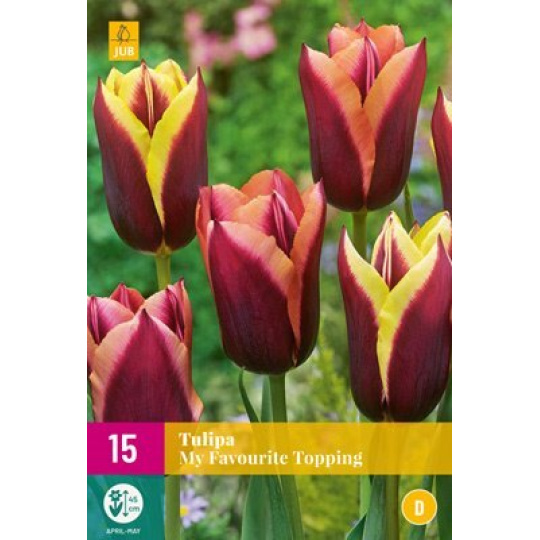 Karta XXL - Tulipán - My Favourite Topping (15 cibulí) "E+"
