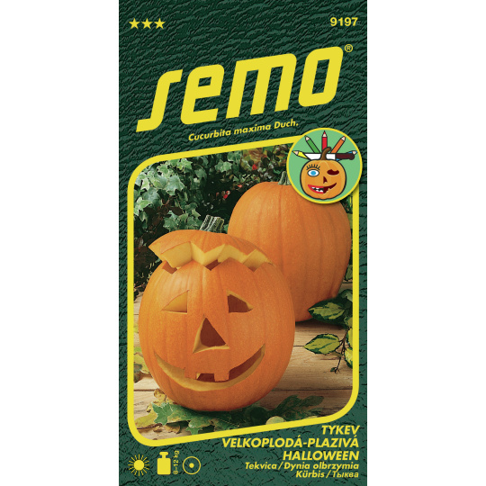 Tykev okrasná - Halloween 2g - série K DEKORACI (ZÁRUKA 2026)